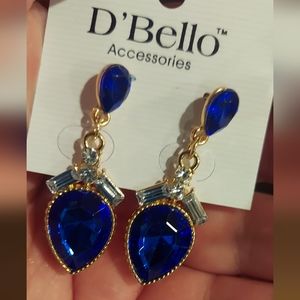 3 items 🧚🏻for$20🧚🏻has this marked D'Bello Accessories blue 🔵 Earrings